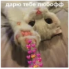 💕 Стики тYт: 13