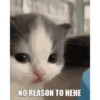 Hehe? 19