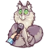 Meme Cats 15