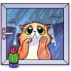 Meme Cats 16