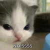 Hehe? 20