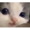 Hehe? 21