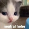 Hehe? 22