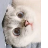 💕 Стики тYт: 14