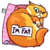 Meme Cats 17