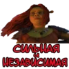 shrek the best 19
