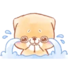 Iyashibainu | 21