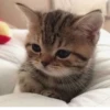 💕 Стики тYт: 16