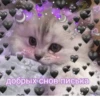 💕 Стики тYт: 17