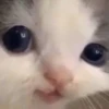 Hehe? 23