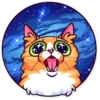 Meme Cats 18