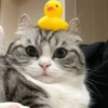 💕 Стики тYт: 18