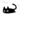 Little Black Cat 16