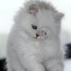 💕 Стики тYт: 20