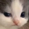 Hehe? 24
