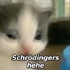 Hehe? 25