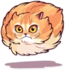 Meme Cats 21