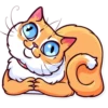 Meme Cats 22