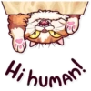 Meme Cats 23