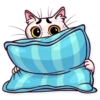 Meme Cats 24