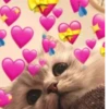 💕 Стики тYт: 22