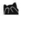 Little Black Cat 21