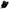 Little Black Cat 22
