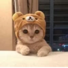 💕 Стики тYт: 23
