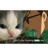 Hehe? 28