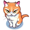 Meme Cats 26