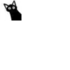Little Black Cat 24