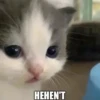 Hehe? 29