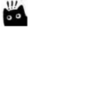 00