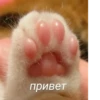 💕 Стики тYт: 26