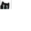 Little Black Cat 29