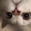 💕 Стики тYт: 28