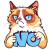Meme Cats 30