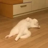 💕 Стики тYт: 29