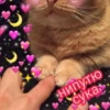 💕 Стики тYт: 30