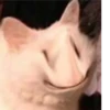 How Are You Feeling Today? 14