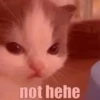 Hehe? 30