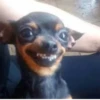 18 3