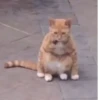 18 4