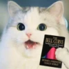 Kittenwaffen 6