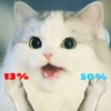 Kittenwaffen 7