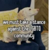homophobic dog 5