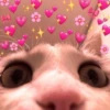 Meow? 7