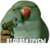 ОТДАВАЙ ТРУСЫ