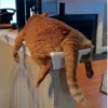18 8