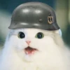 Kittenwaffen 9